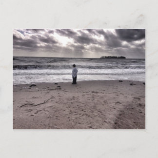 After the Storm Postcard