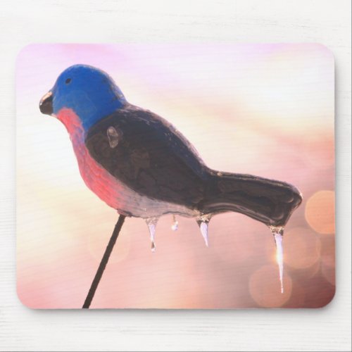 After The Winter Storm Nature Mouse Pad