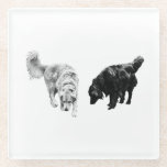 Afterglow Table Hush — Retriever Duo Glass Coaster