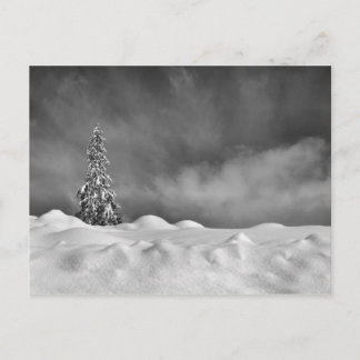 Aftermath Postcard