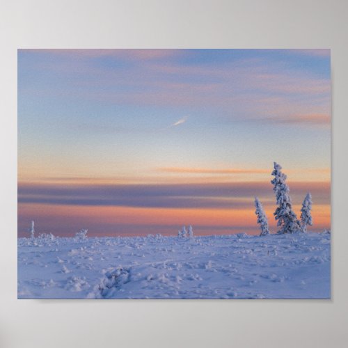 Afternoon Glow Poster