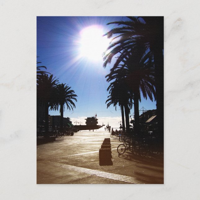 Afternoon In Hermosa Beach Postcard (Front)
