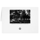 Afternoon in the Park (Back Horizontal)