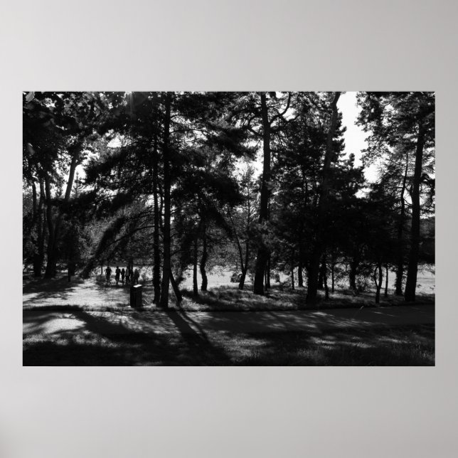 Afternoon in the Park Poster (Front)