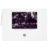 Afternoon in the Park (Purple Toned BW) (Back Horizontal)