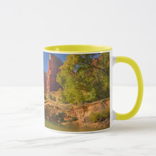 Afternoon In Zion National Park Mug