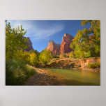 Afternoon In Zion National Park Poster at Zazzle