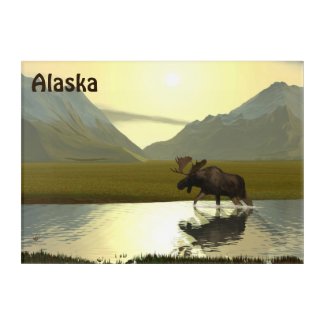 Afternoon Moose