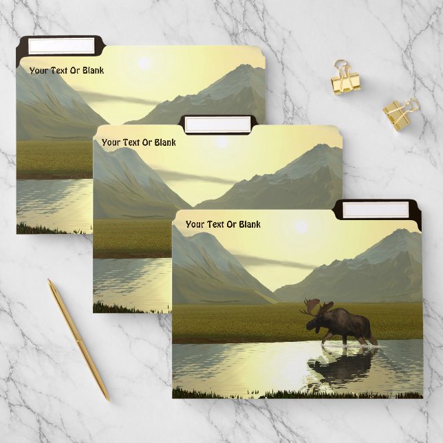 Afternoon Moose File Folder (Set)