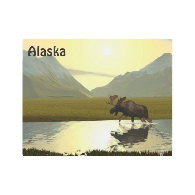 Afternoon Moose Metal Print (Front)