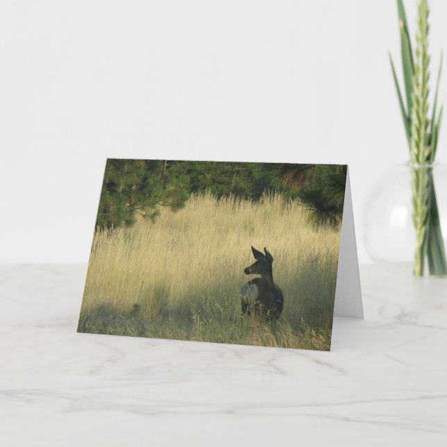 Afternoon Mulie, Greeting Card by Mark Easton (Front)