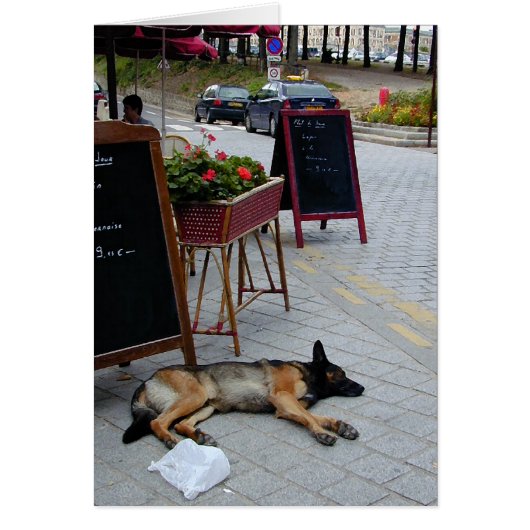 Afternoon Nap Cards (Front)