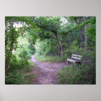Afternoon shade in the forest poster