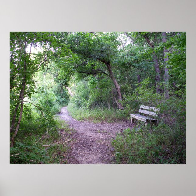 Afternoon shade in the forest poster (Front)