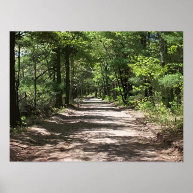 Afternoon Shadows Poster (Front)