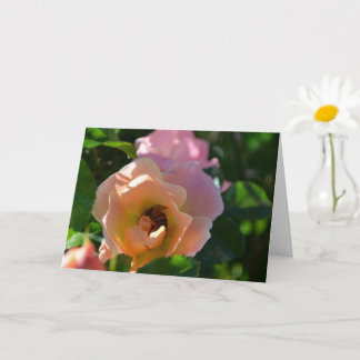 Afternoon Snack Card