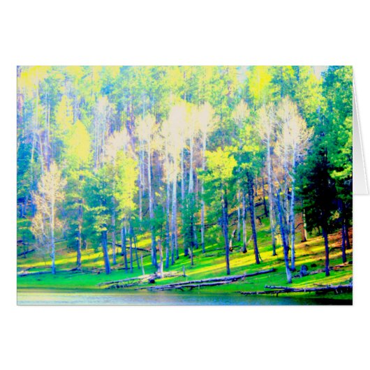 Afternoon sun (Front Horizontal)