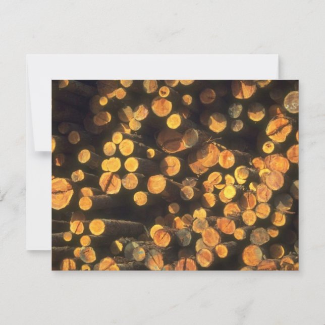 Afternoon sun Logs Logger's Retirement Invitation (Front)