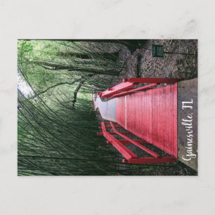 Afternoon Wandering Postcard