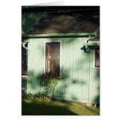 Afternoon Windowbox (Front)