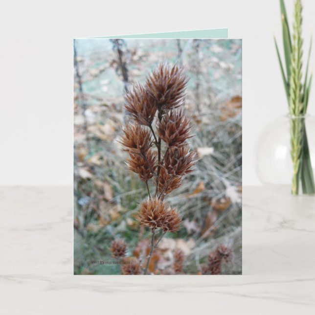 Afterward Card (Front)