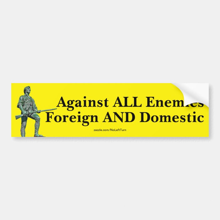 protect against all enemies foreign and domestic