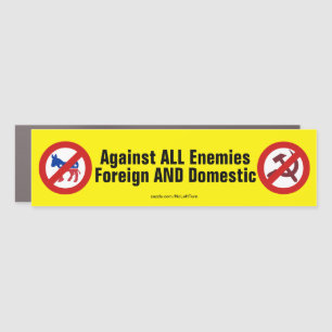 Against All Enemies Foreign And Domestic Car Magnet