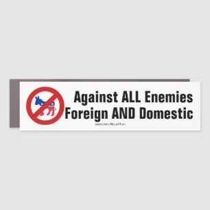 Against All Enemies Foreign And Domestic Car Magnet
