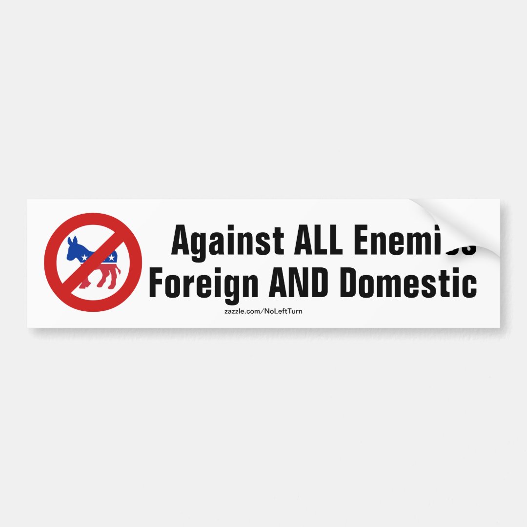 protect against all enemies foreign and domestic