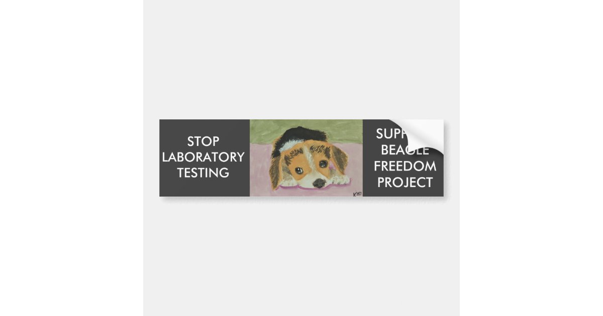 Against Animal Testing Bumpersticker Bumper Sticker | Zazzle