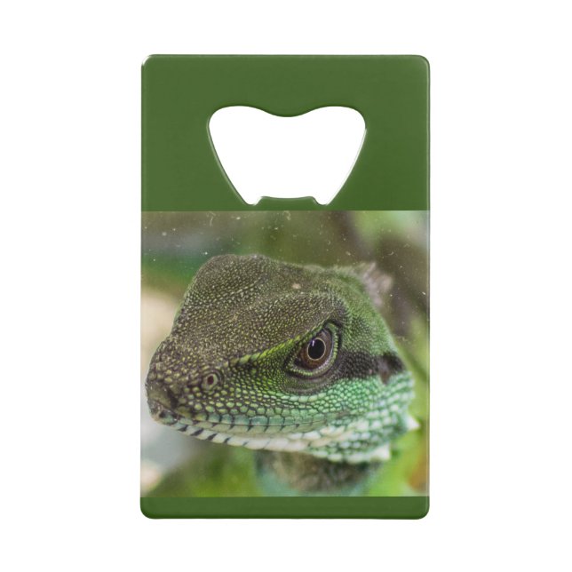 Agama, lizard credit card bottle opener (Front)