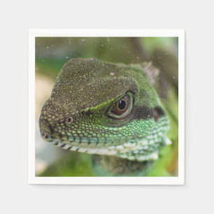 Agama, lizard napkins