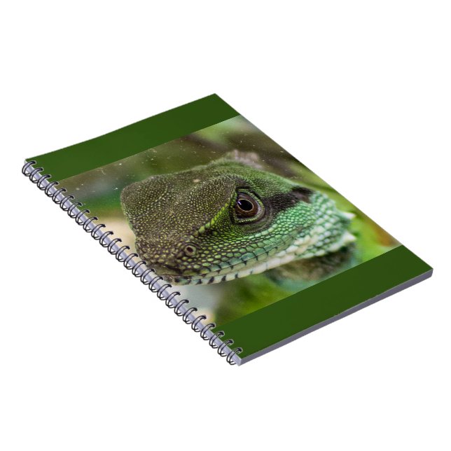 Agama, lizard notebook (Right Side)