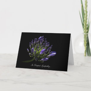 Agapanthus, African Lily - In Deepest Sympathy Card