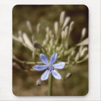 agapanthus blue mouse pad