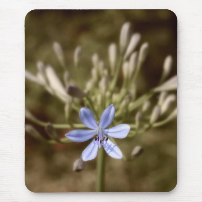 agapanthus blue mouse pad (Front)