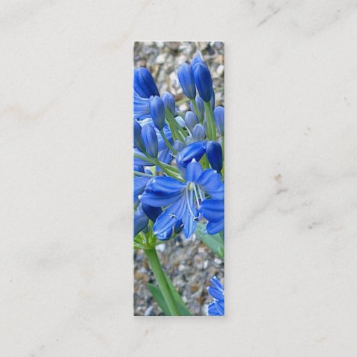 Customizable Agapanthus Bookmark Business Card