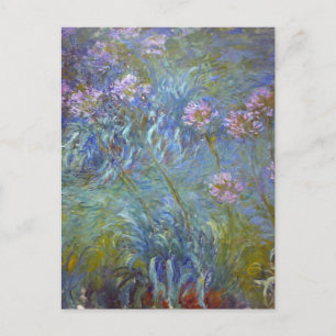 Agapanthus by Claude Monet Postcard