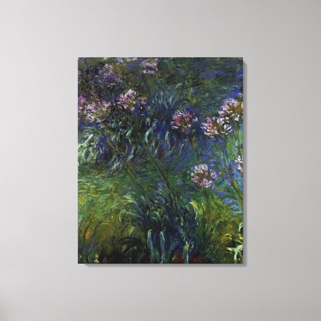 Agapanthus Canvas Print (Front)