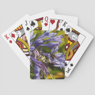 Agapanthus flower and bee poker cards
