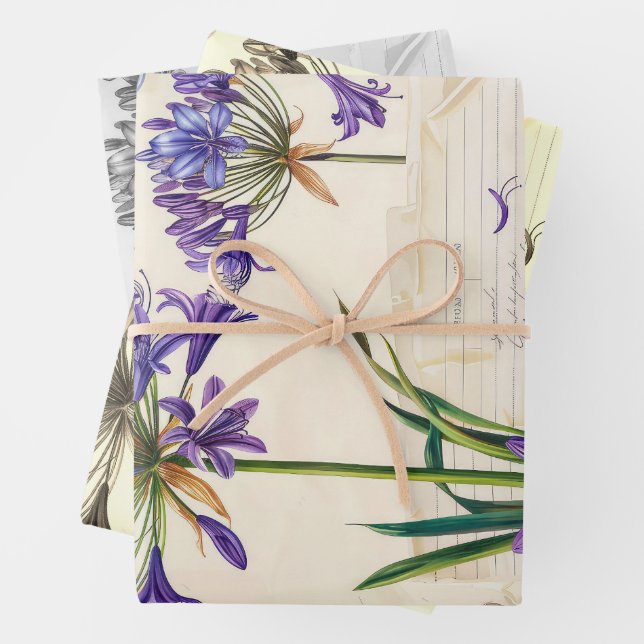 Agapanthus flower Ephemera Collage Art Wrapping Paper Sheets (In situ)