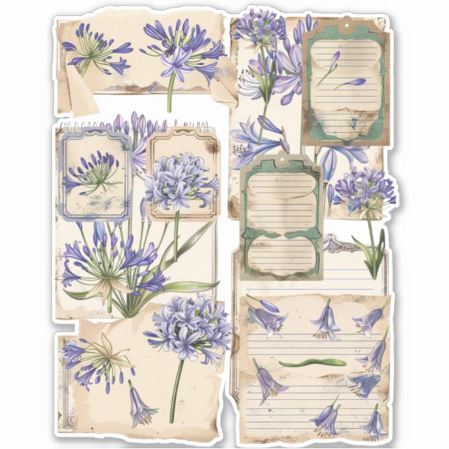 Agapanthus flower Fussy Cut Ephemera 2 Sticker (Front)