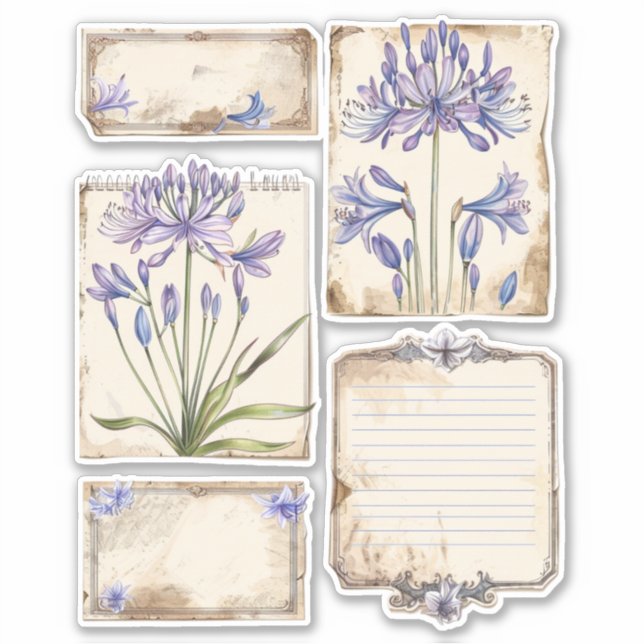 Agapanthus flower Fussy Cut Ephemera Sticker (Front)