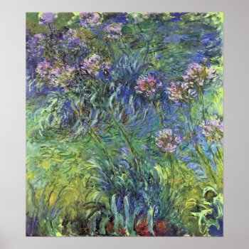 Agapanthus Flowers By Claude Monet Poster by monetart at Zazzle