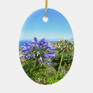 Agapanthus in the Azores Ceramic Ornament