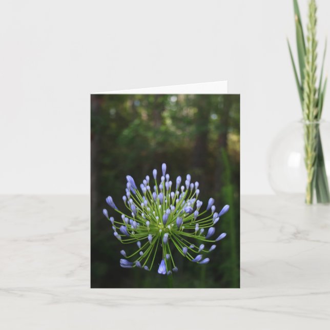 Agapanthus Note Card (Front)