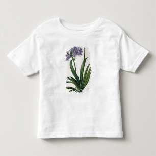 Agapanthus umbrellatus toddler t-shirt