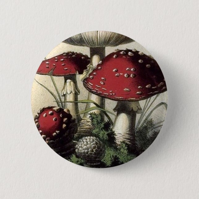 Agaricus Muscarius Mushroom Pinback Button (Front)