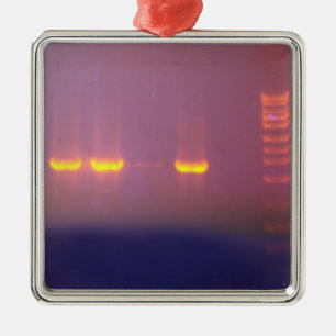 Agarose Gel Electrophoresis Metal Ornament