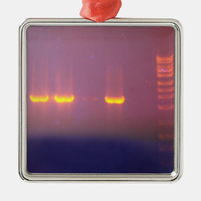 Agarose Gel Electrophoresis Metal Ornament (Front)